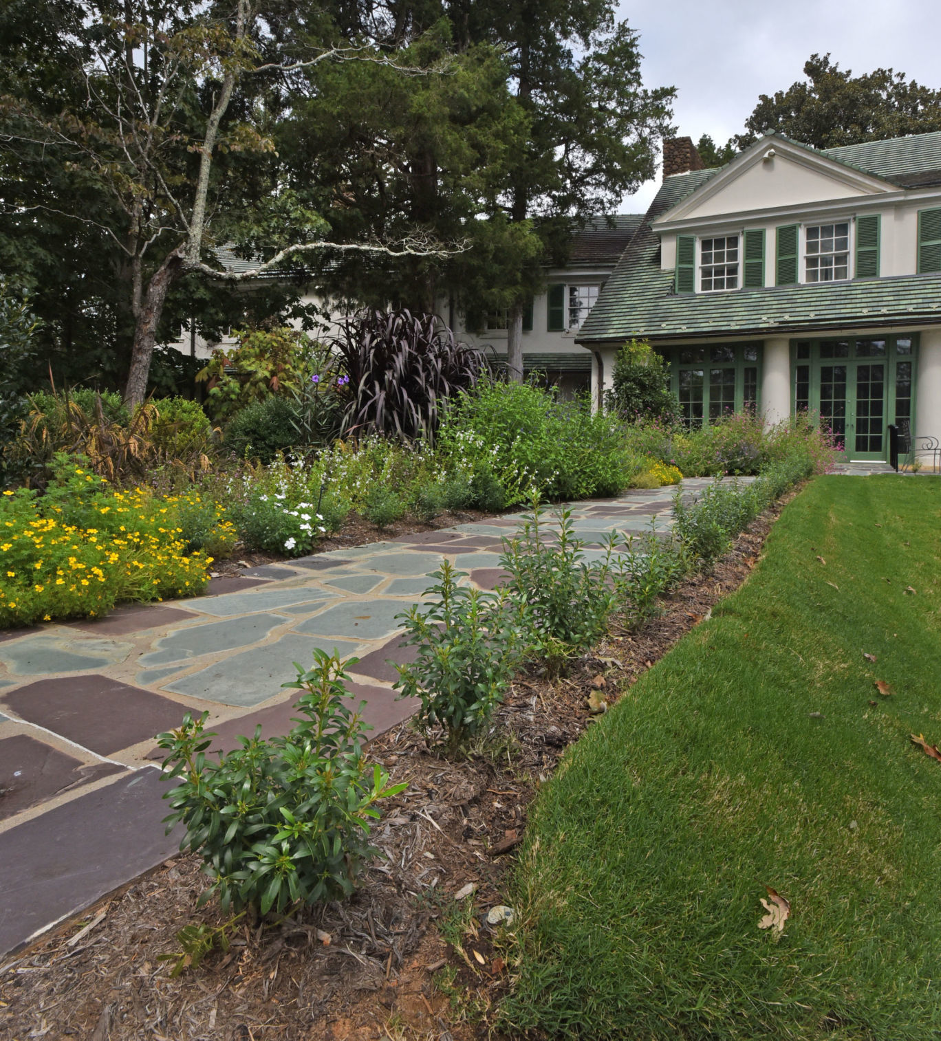 Reynolda Boxwoods